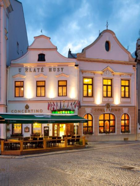 Hotel Concertino Zlatá Husa, Jindrichuv Hradec